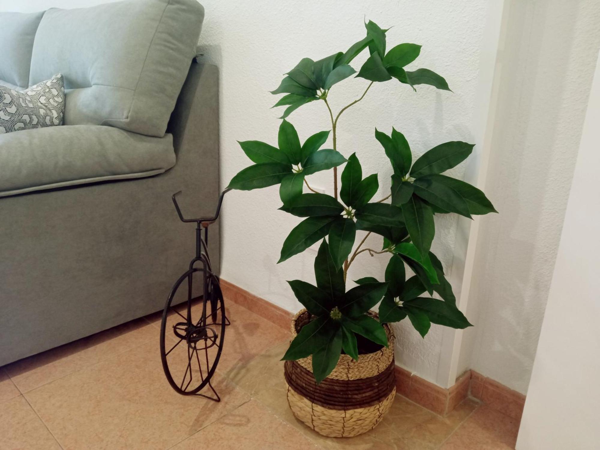 Apartment Jardines De La Magdalena